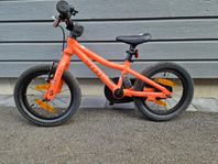 Scott Contessa 14 tum 2024