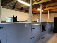 Intressekoll stallplats utanför Rödeby