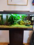Superfint Tetra Starter Line 54 L akvarium + möbel 