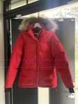 Canada goose (röd) 