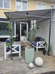Helt ny pergola i kartong 