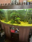 juvel akvarium