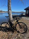 Trek domane al 2