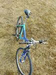 Cykel 
