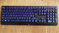 Blackwidow v3 Pro 