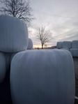 Hösilage
