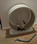 Motionshjul katt