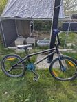 specialized