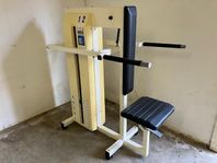 Triceps / Dips maskin
