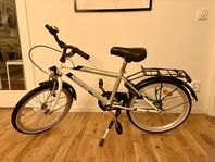cykel 20-tum svalan 