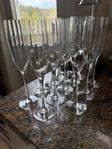 Orrefors optica champagneglas