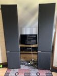 Elektrostater Acoustat spectra 11 