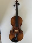 Violin