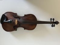 Violin tidigt 1900 tal