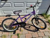 20 tums cykel