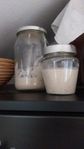 Sourdough starter (rye)