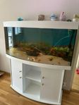 akvarium och tillbehör 