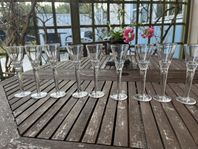 Snappsglas - 2 sorter