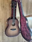 Taylor 2019 builder's edition 517e wild honey burst