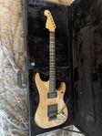 Washburn N4 