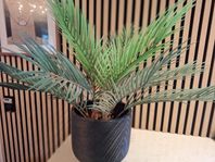 Svart kruka med plast palm
