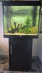 Juwel Lido 200l