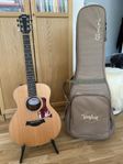 Taylor gs mini-e