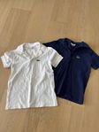 Lacoste pike 2st