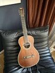 Washburn R319SWKK parlorgitarr