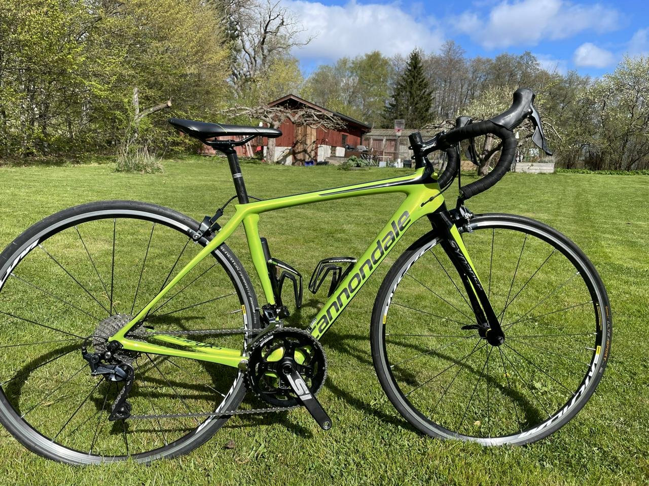 Cannondale Synapse