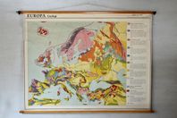 Skolkarta Europas geologi