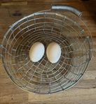 ankor ägg 