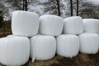 Höensilage / ensilage balar av vallgräs