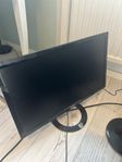 Asus Gaming Skärm