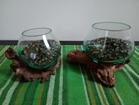 Handblåsta glas på trädrot