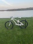 Canyon Spectral AL