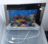 Belysnings display - akvarium tavla - rörliga akvariefiskar