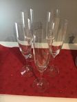 Kosta boda Nouveau champagneglas 24 cm