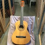 Klassik Gitarr