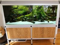 300l med inbyggd amazonas bakgrund