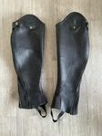 Shortchaps JH Collection