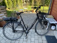 Batavus Torino