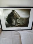 Fotokonst: Nick Brandt, Vee Speers, Christer Strömholm.