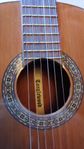 Tanglewood akustisk nylonsträngad