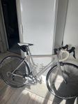Cannondale superfix Evo