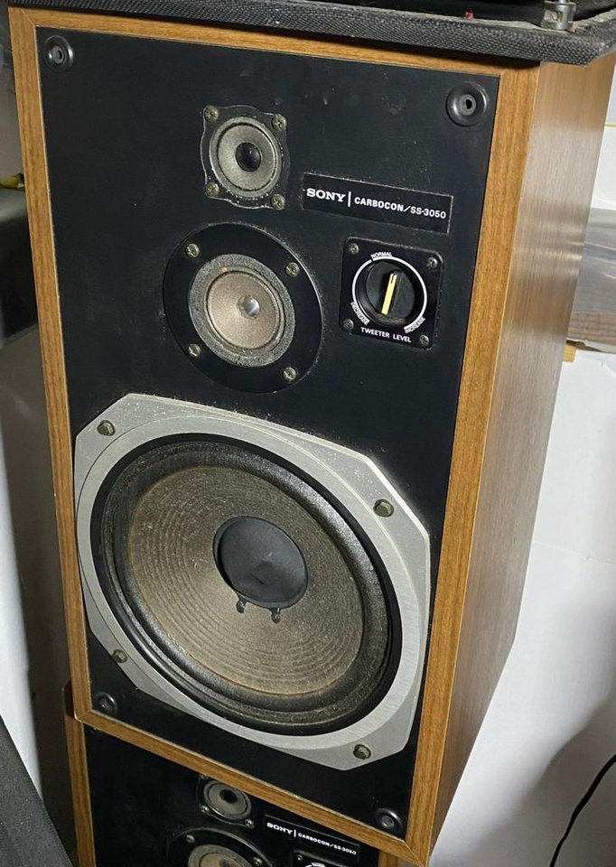 Sony Carbocon SS