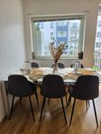 matbord & 6 stolar 