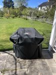 weber spirit II 