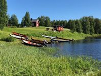 Fiskecamping med skog