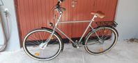 Skeppshult herrcykel natur